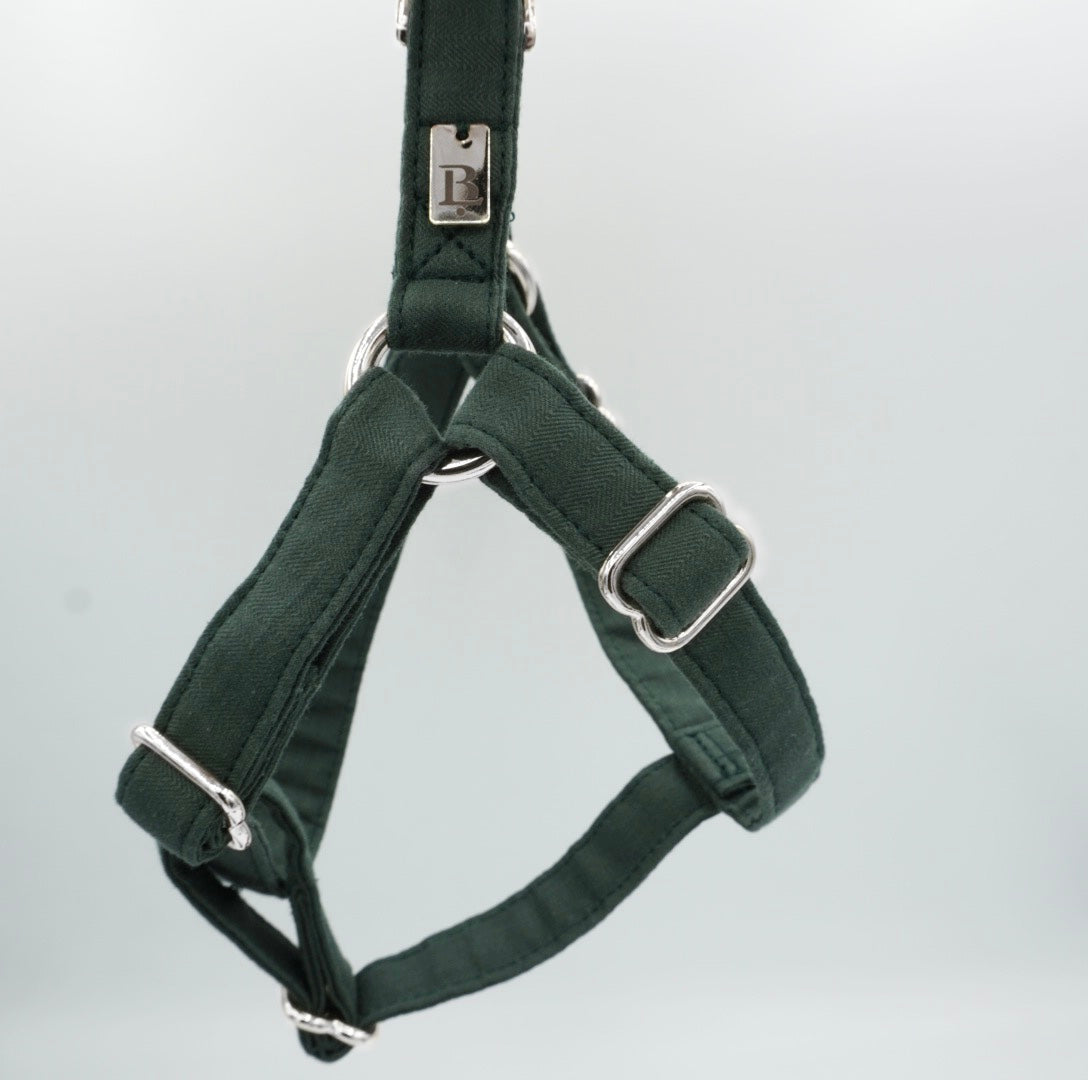 Harness in Holly Green, Silver hardware