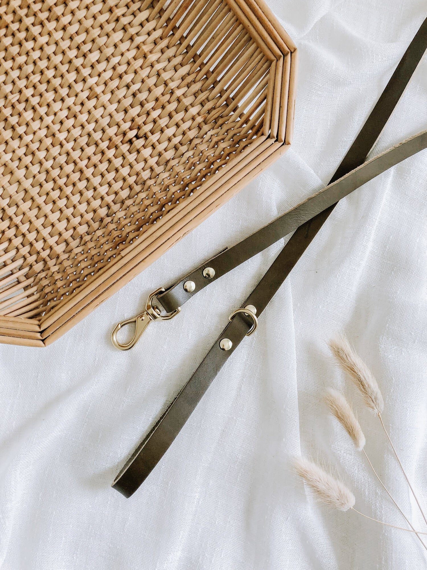 Ember & Ivory Vegetable Leather Lead in Olive/Ivory
