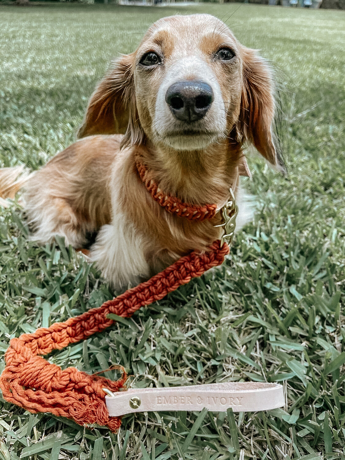 Ember & Ivory Macrame & Vegetable Leather Collar in Natural/Rust