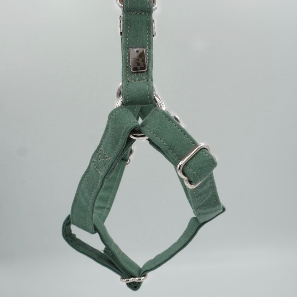 Harness in River Green, Silver hardware