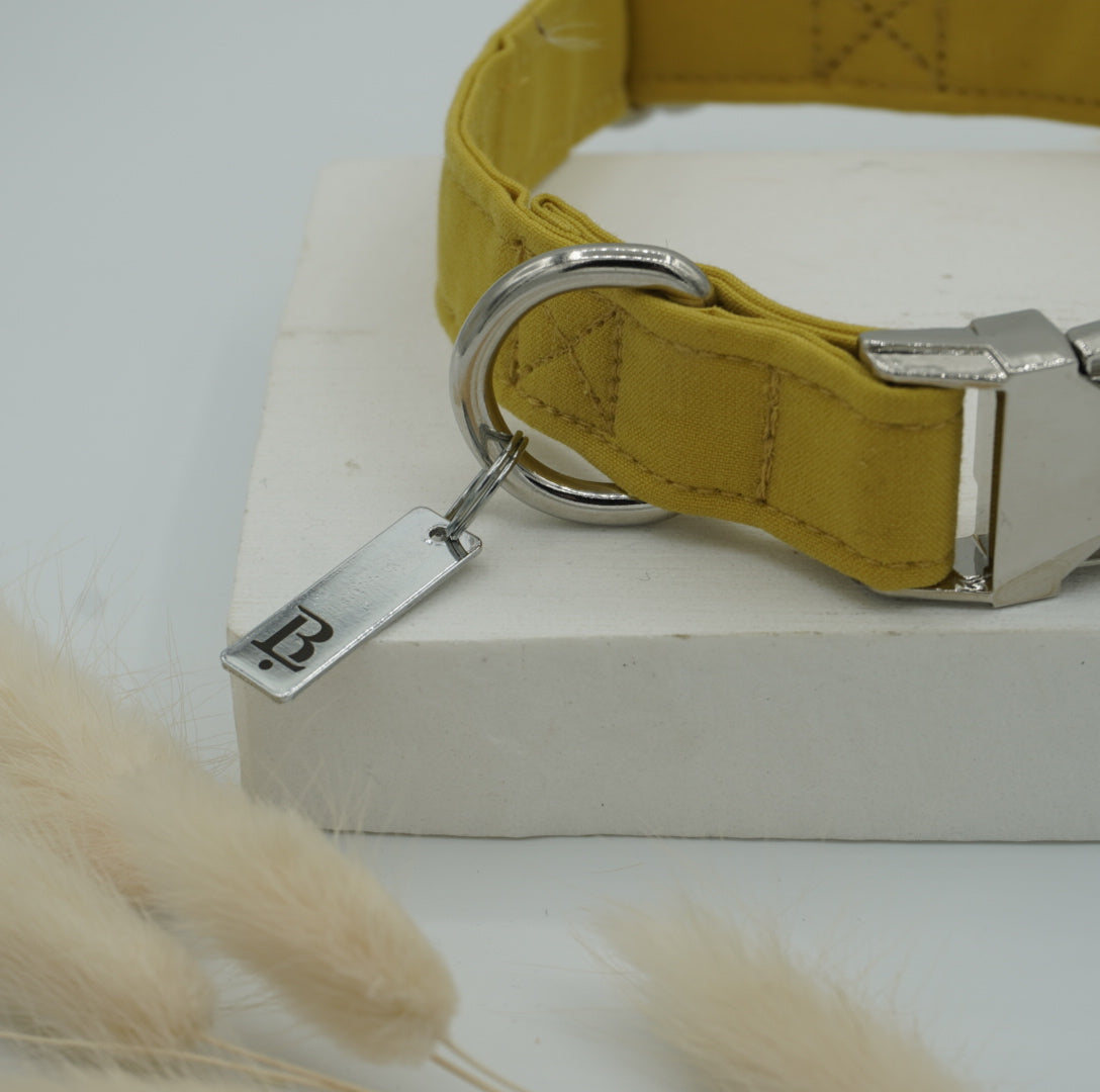 Collar in Sunflower Yellow, Silver hardware