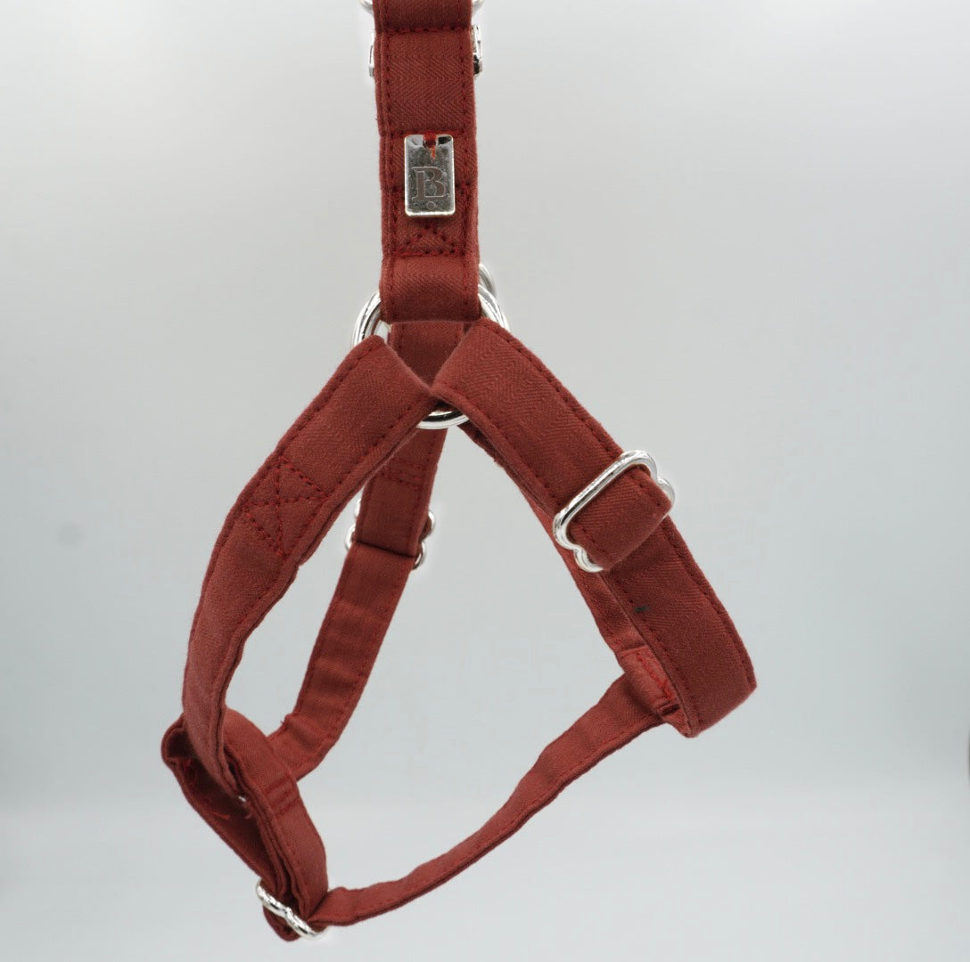 Harness in Cranberry Red, Silver hardware