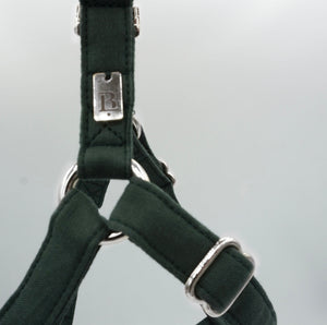 Harness in Holly Green, Silver hardware