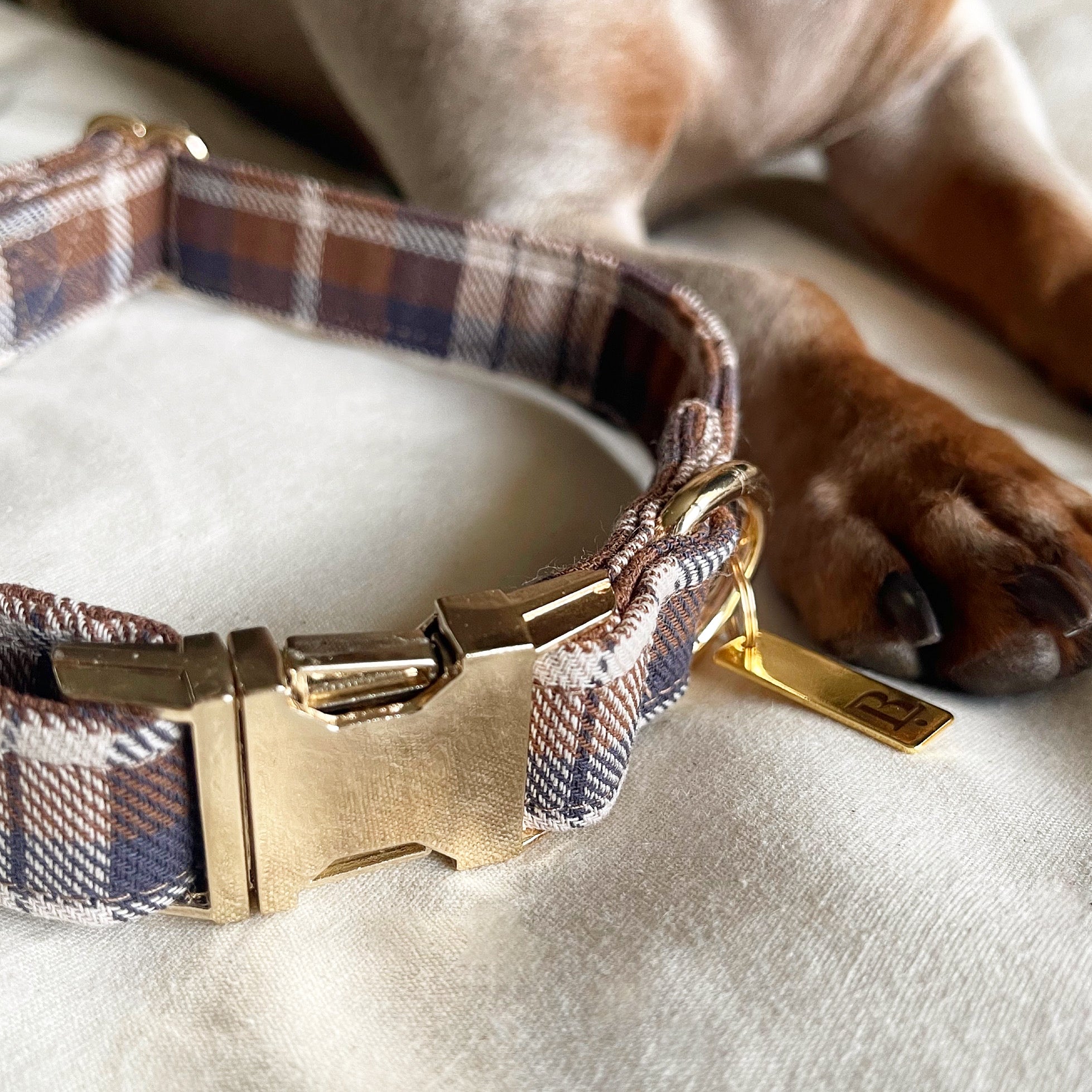 Collar in Ginger Plaid, Gold hardware