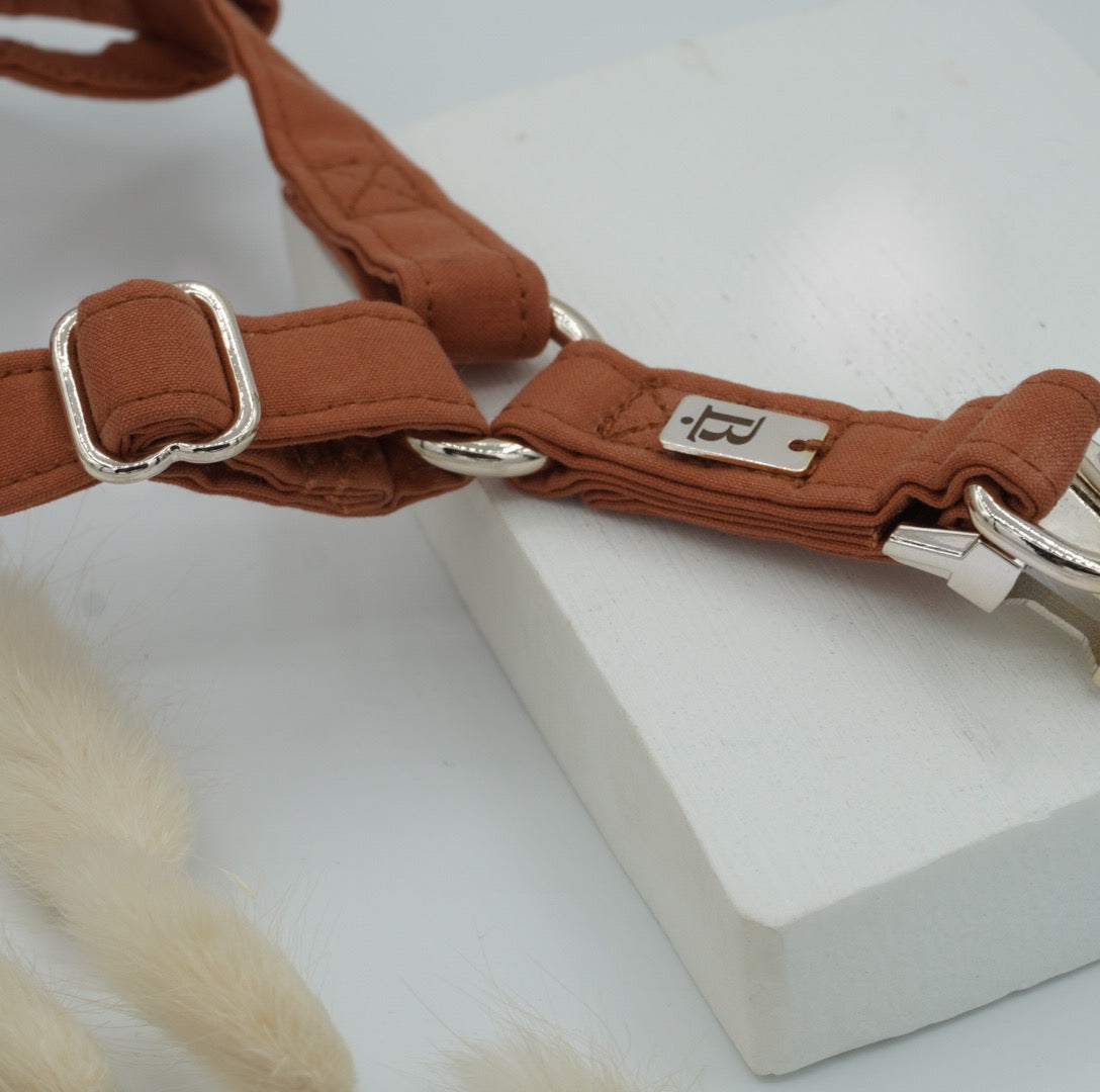 Harness in Terracotta Orange, Silver hardware