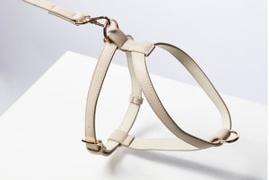St Argo Taupe Harness
