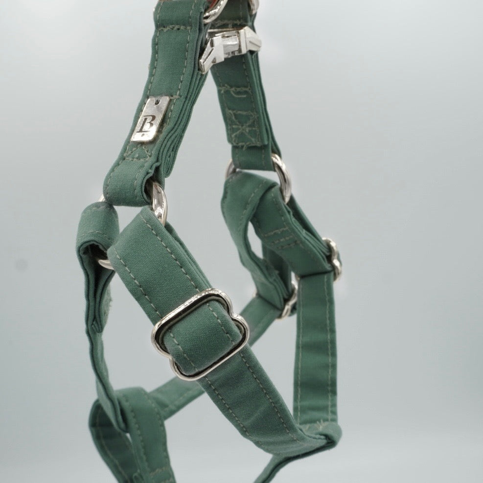 Harness in River Green, Silver hardware
