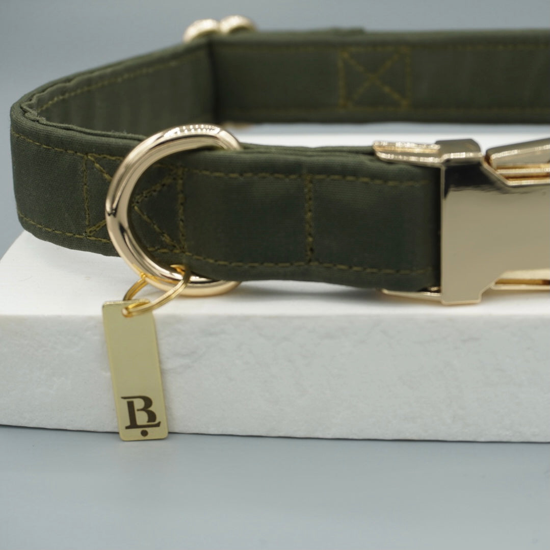 Collar in Moss Green, Gold hardware