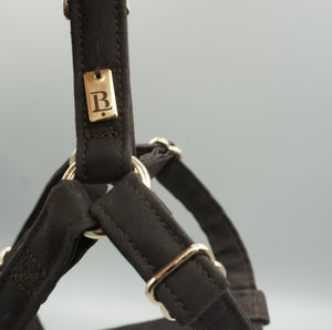 Harness in Chestnut Brown, Gold hardware