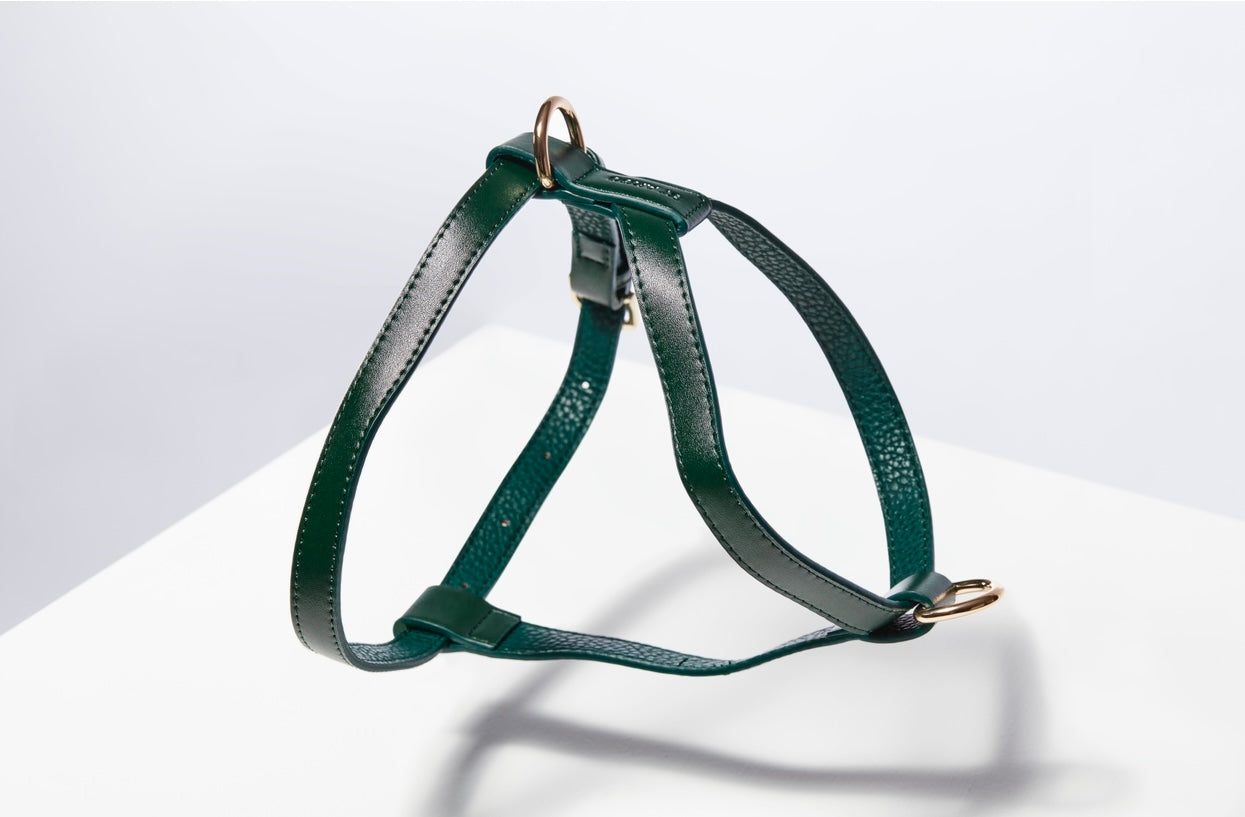 St Argo Bottle Green Harness