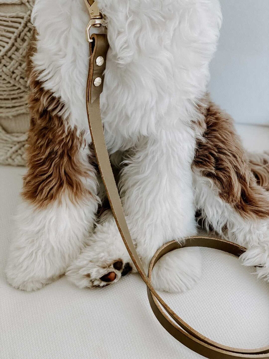 Ember & Ivory Vegetable Leather Lead in Olive/Ivory