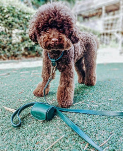St Argo Bottle Green Harness