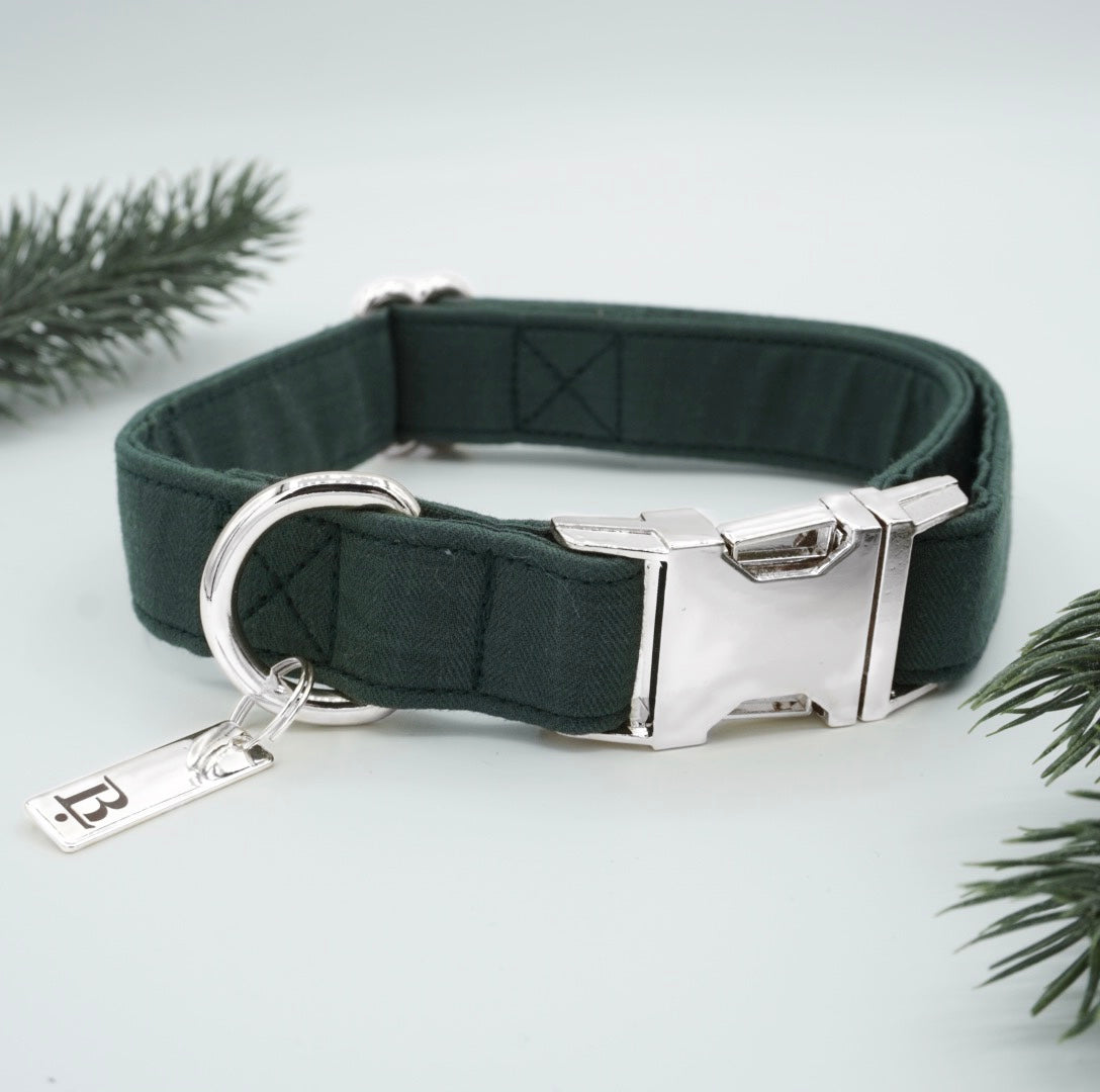 Collar in Holly Green, Silver Hardware