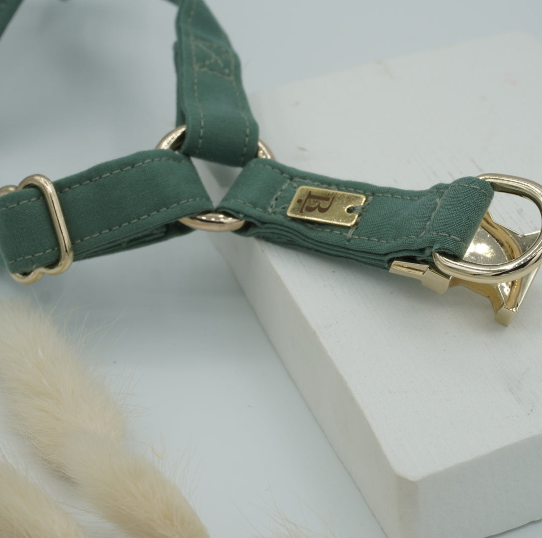 Harness in River Green, Gold hardware