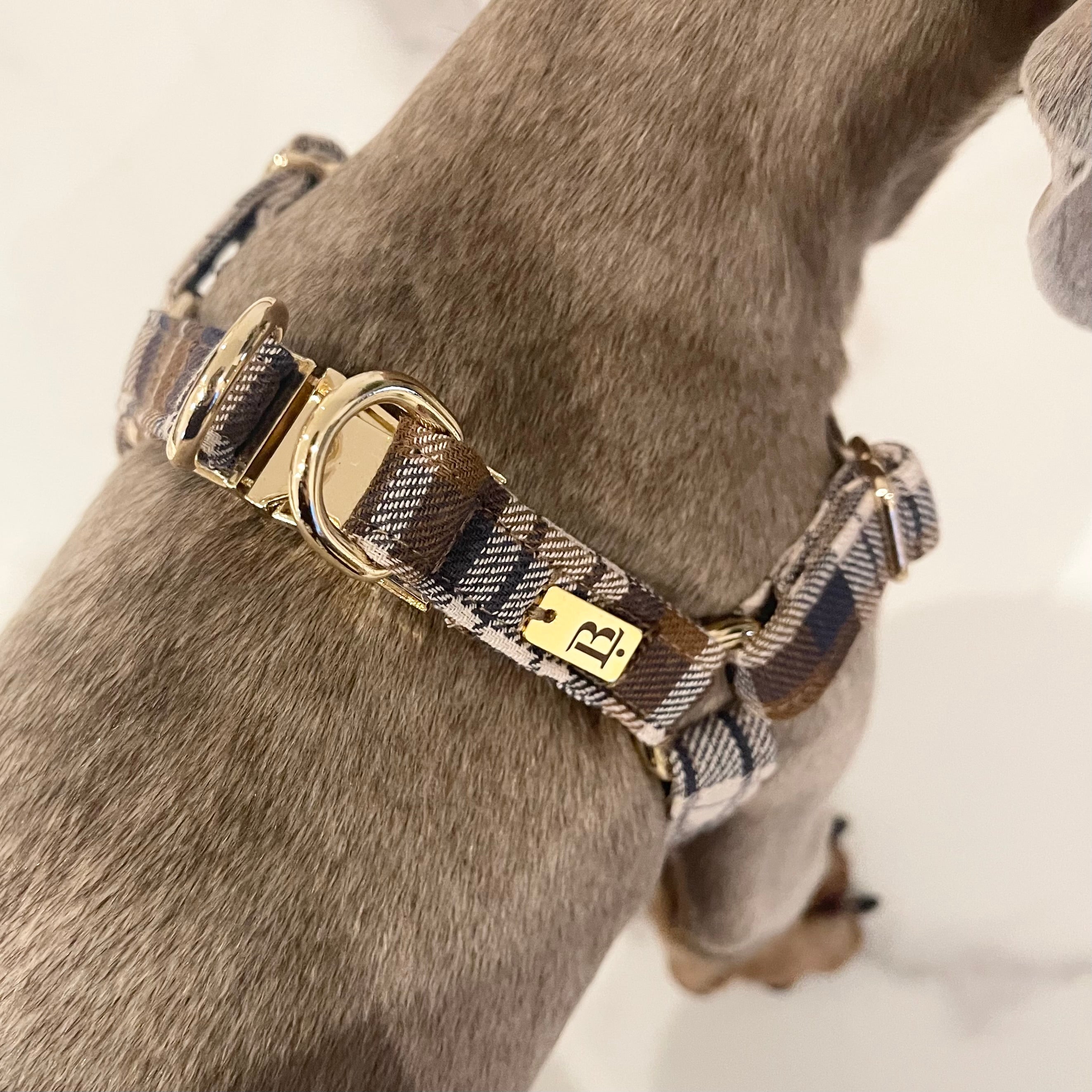 Harness in Ginger Plaid, Gold hardware