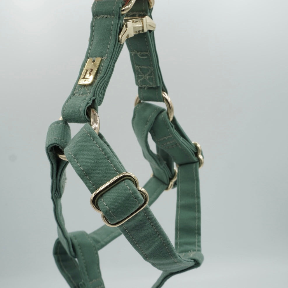 Harness in River Green, Gold hardware