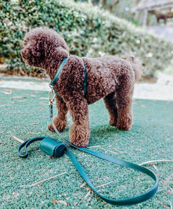 St Argo Bottle Green Harness