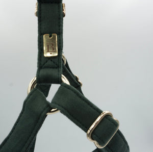 Harness in Holly Green, Gold hardware