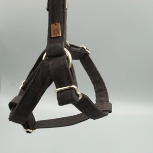 Harness in Chestnut Brown, Gold hardware