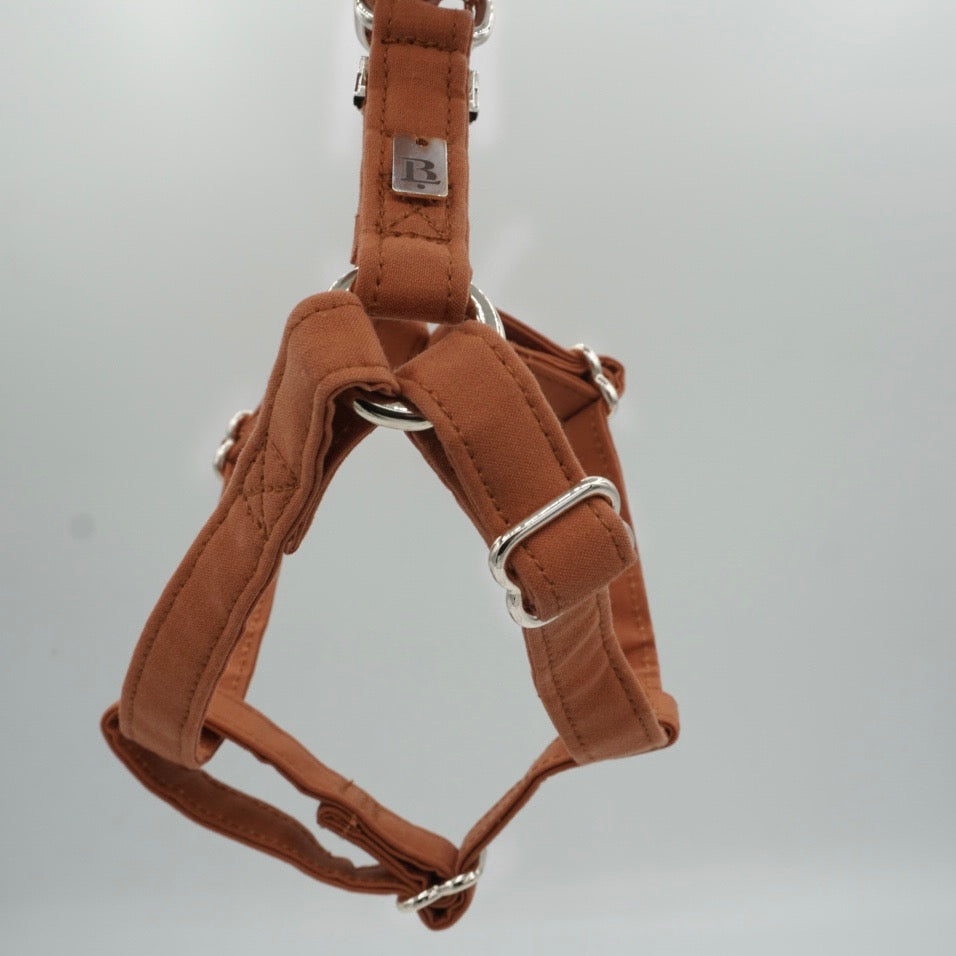 Harness in Terracotta Orange, Silver hardware