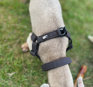 Collar in Chestnut Brown, Black hardware
