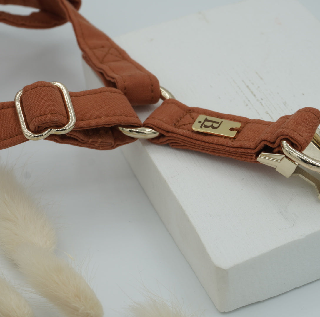 Harness in Terracotta Orange, Gold hardware