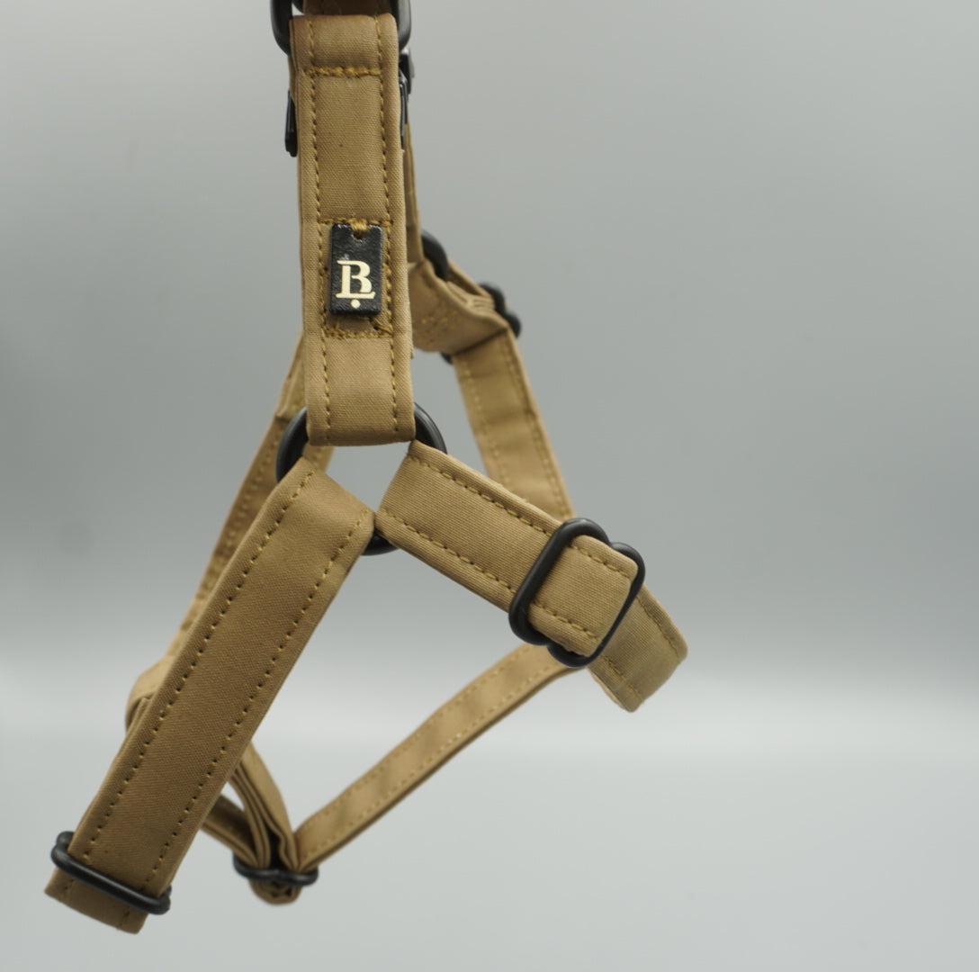 Harness in Hazel Tan, Black hardware