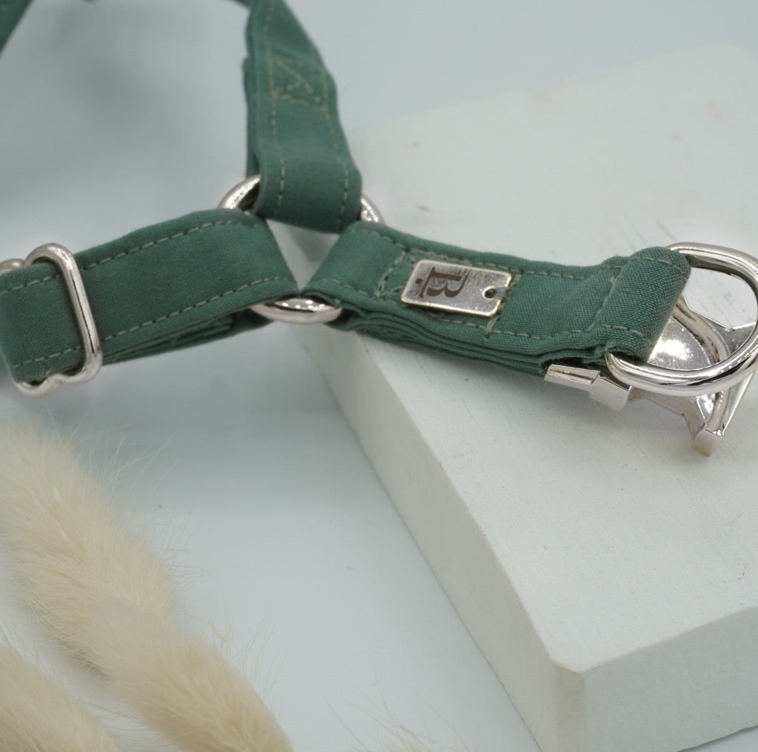 Harness in River Green, Silver hardware